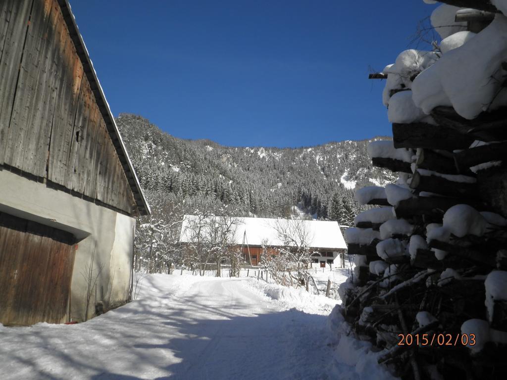 Almurlaub Buchebnerreith, Ferienwohnungen 茵特斯托德 外观 照片